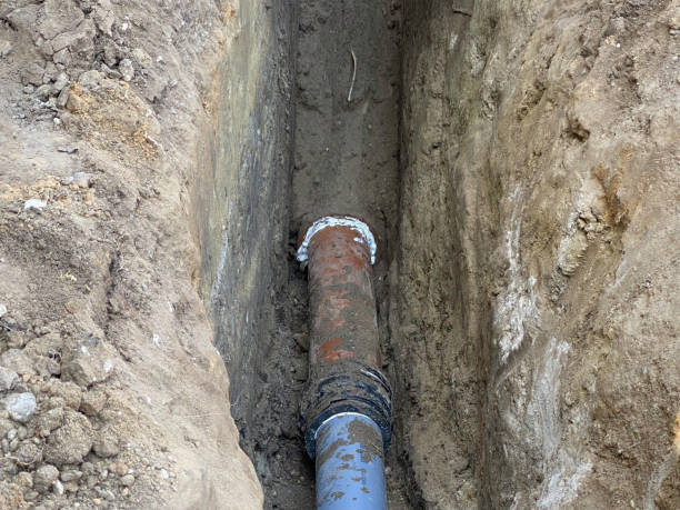 Best Basement water damage restoration  in Poplar Cotton Center, CA