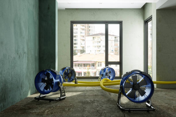 Best Flood restoration services  in Poplar Cotton Center, CA